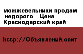 можжевельники продам недорого › Цена ­ 1 000 - Краснодарский край  »    